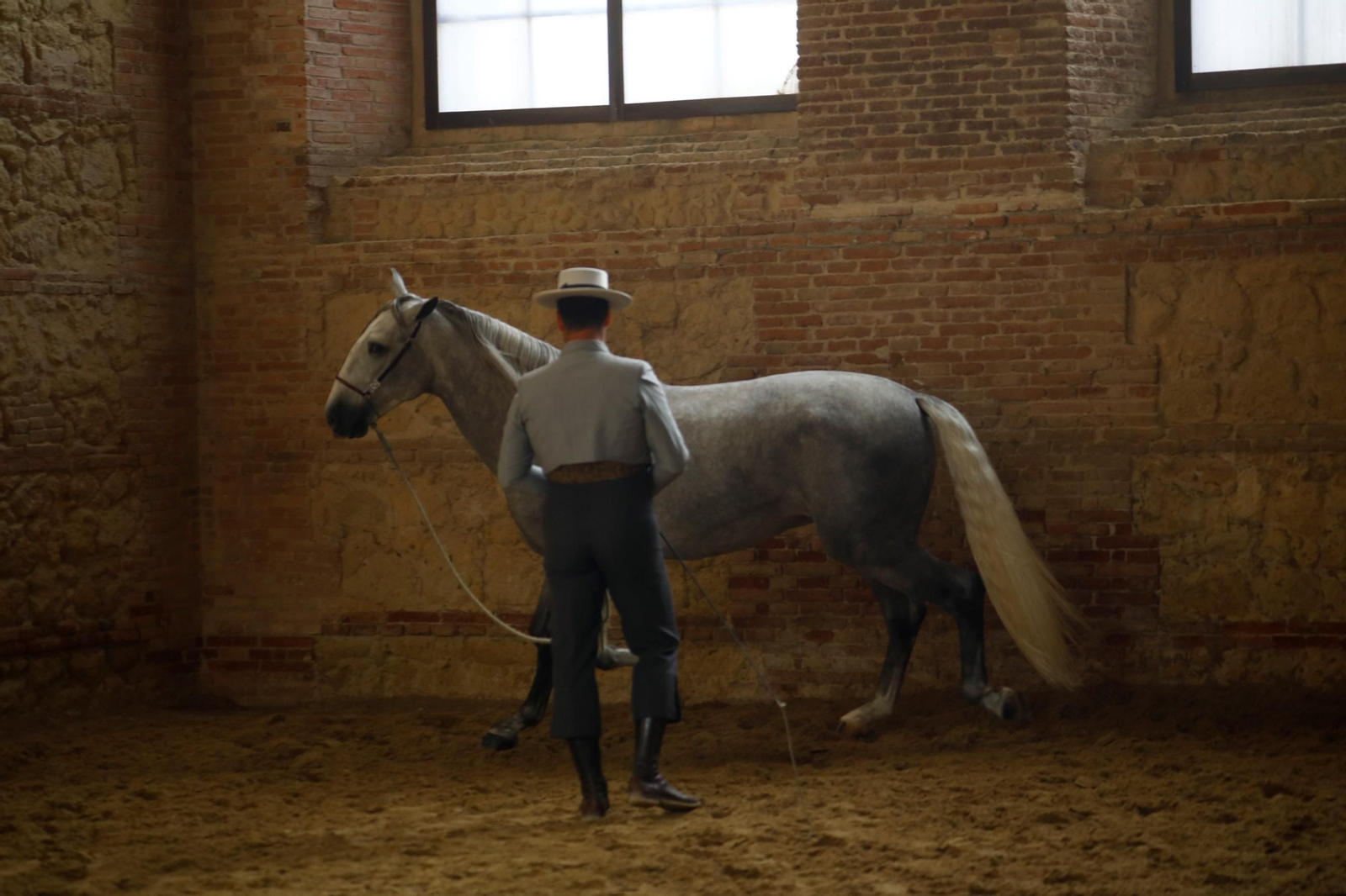 Cabalcor Cabalcor