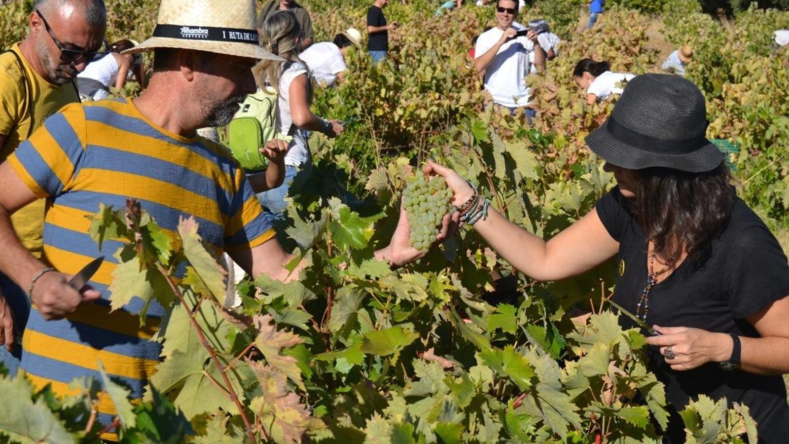 Actividad en Bodegas Robles.