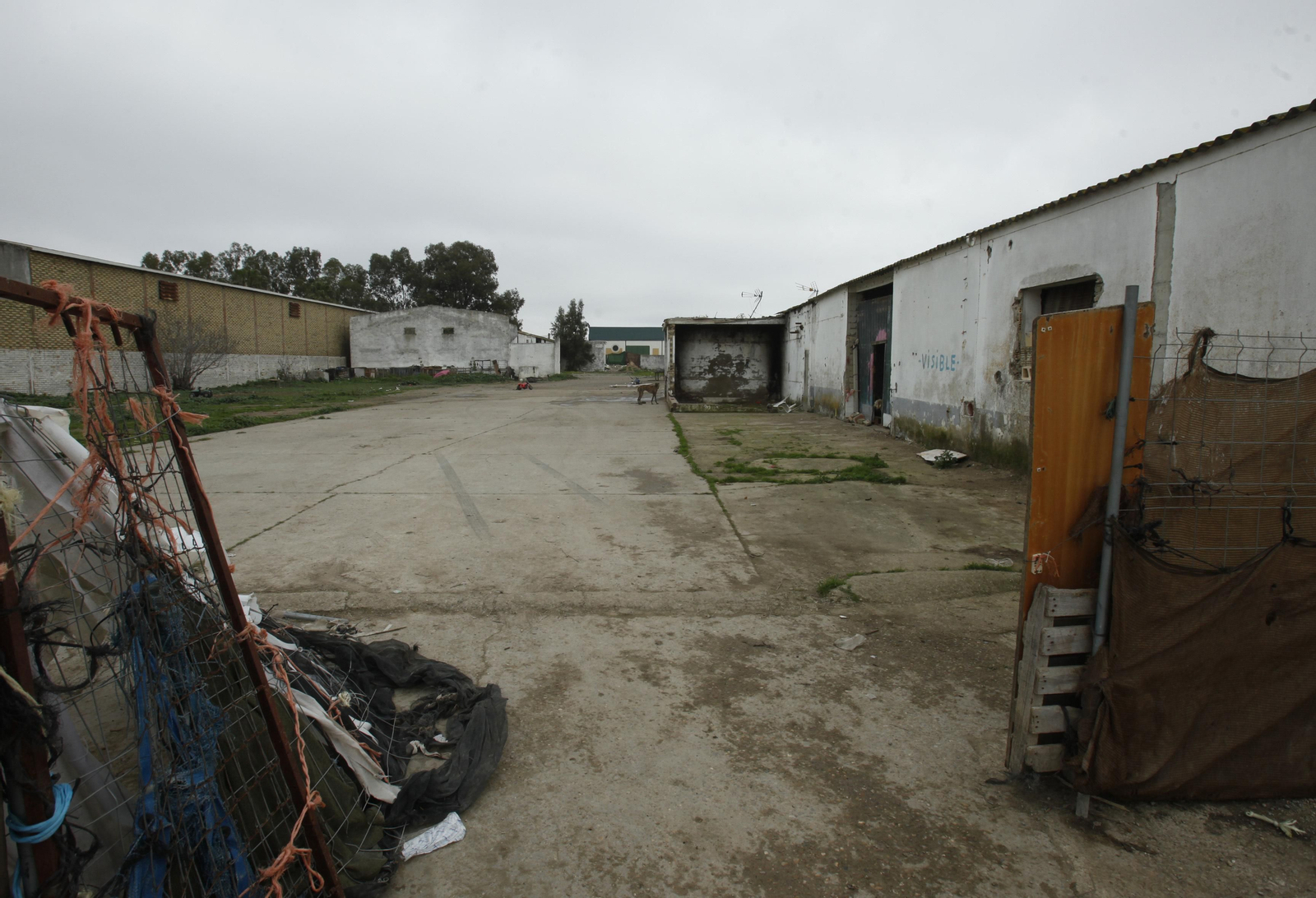El lugar en el que ocurrieron los hechos, en Los Palacios.