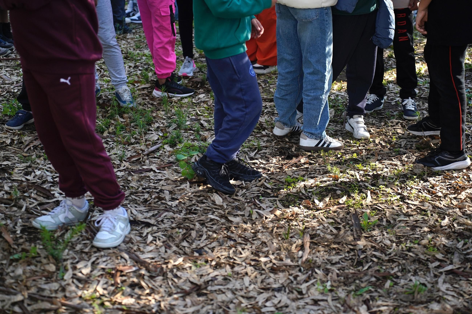 Las fotos del simulacro de maremoto en el colegio Virgen del Mar en Algeciras