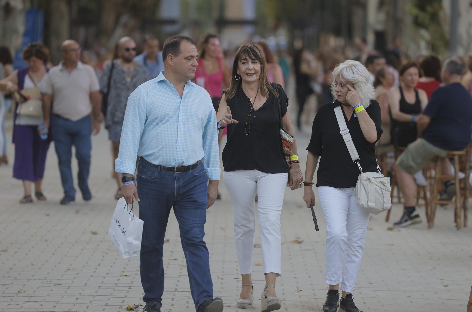 Búscate entre las fotos del concierto de Ana Torroja