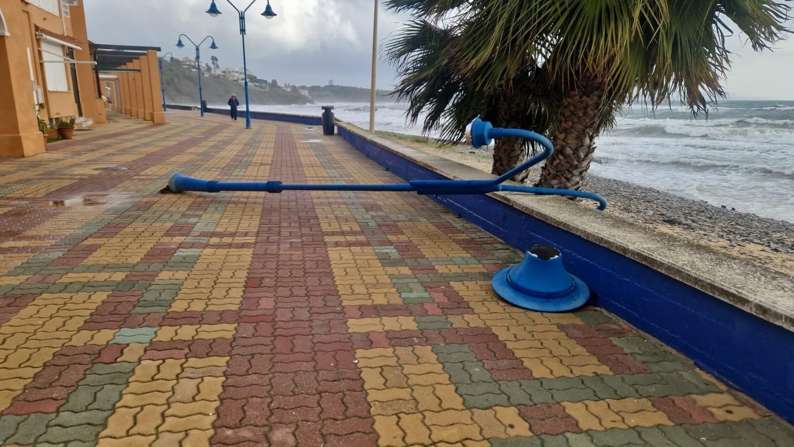 La faroa caída en el paseo de Getares.