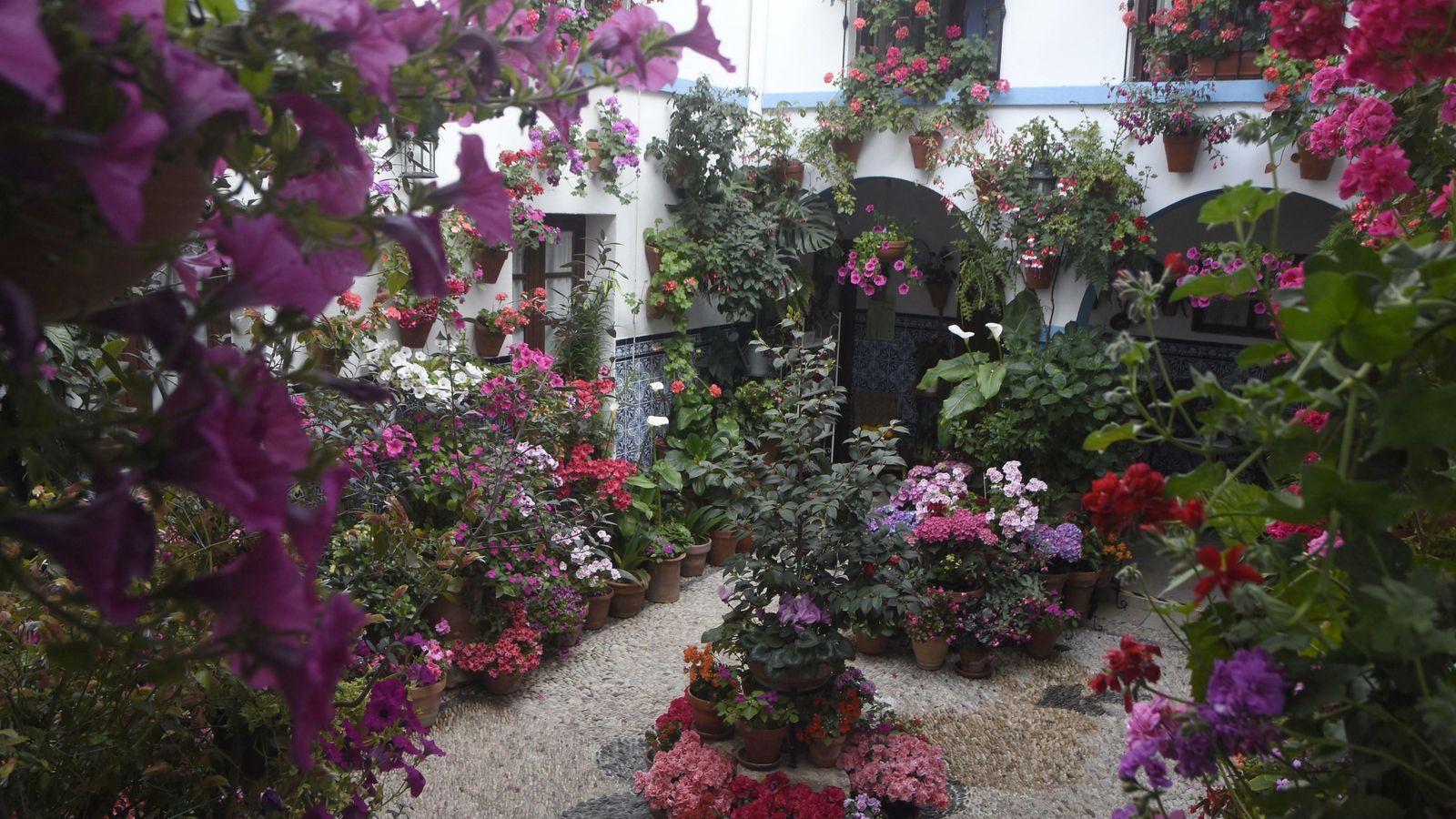 Patio de Pedro Fernández, 6.