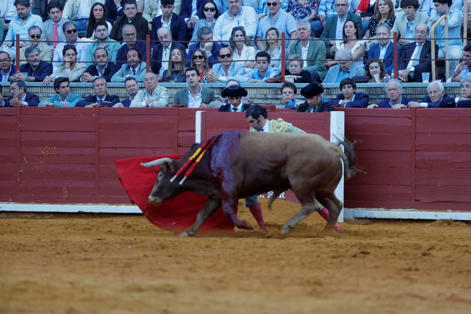 Las mejores fotos de la corrida de Morante, Ortega y Roca Rey en la Feria Taurina de Córdoba