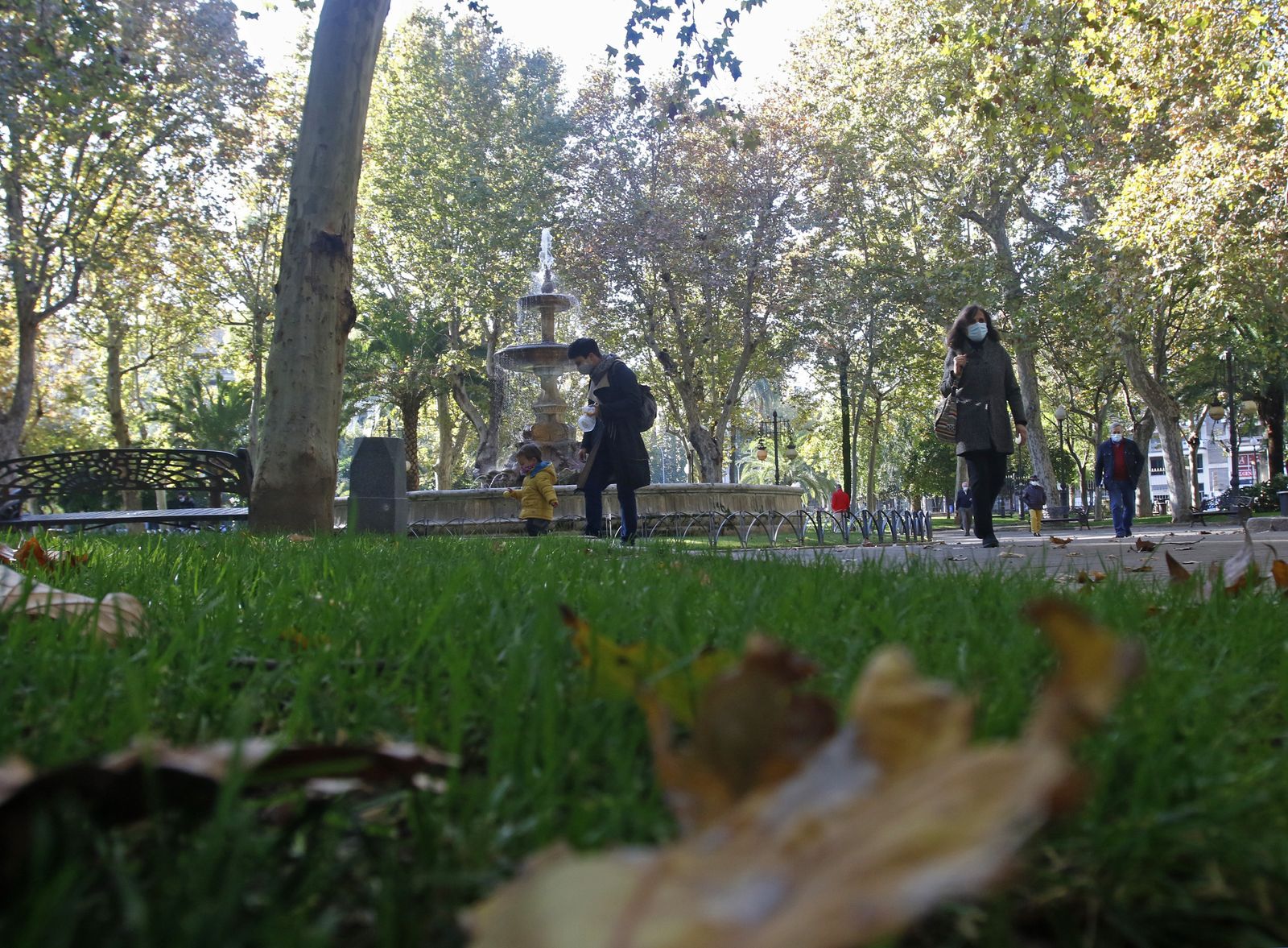 El otoño en Córdoba, en fotografías