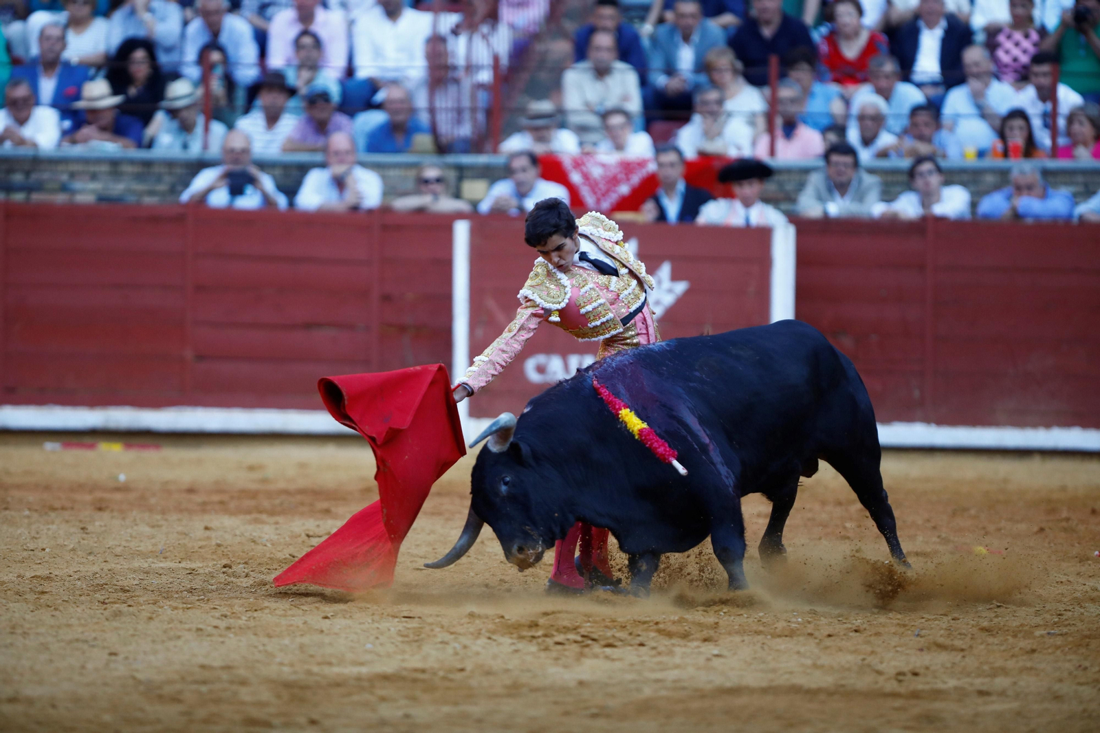 La presentación del novillero Manuel Román en Córdoba, en imágenes
