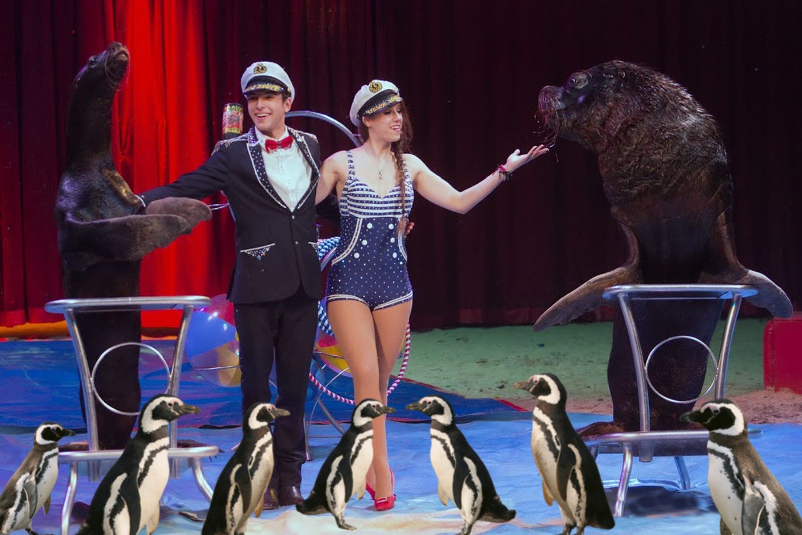 1. El espectáculo cuenta, por primera vez en pista, con un número de pingüinos, donde también realizan ejercicios leones marinos. 2. Una de las acrobacias que pueden verse. 3. Exterior de la carpa y taquilla en la Ronda del Tamarguillo.