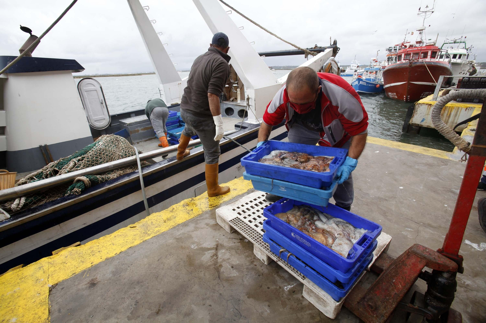 Descarga de capturas pesqueras en el puerto de Isla Cristina.