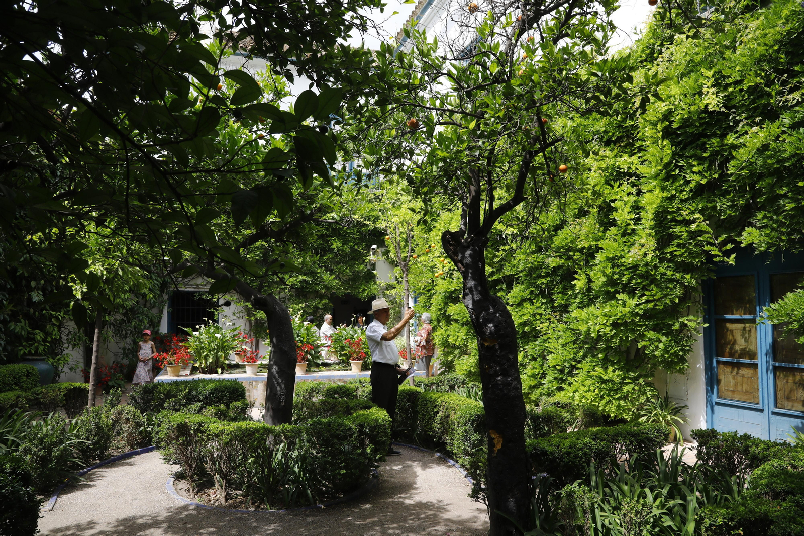 La jornada de puertas abiertas en el Palacio de Viana de Cordoba, en imágenes