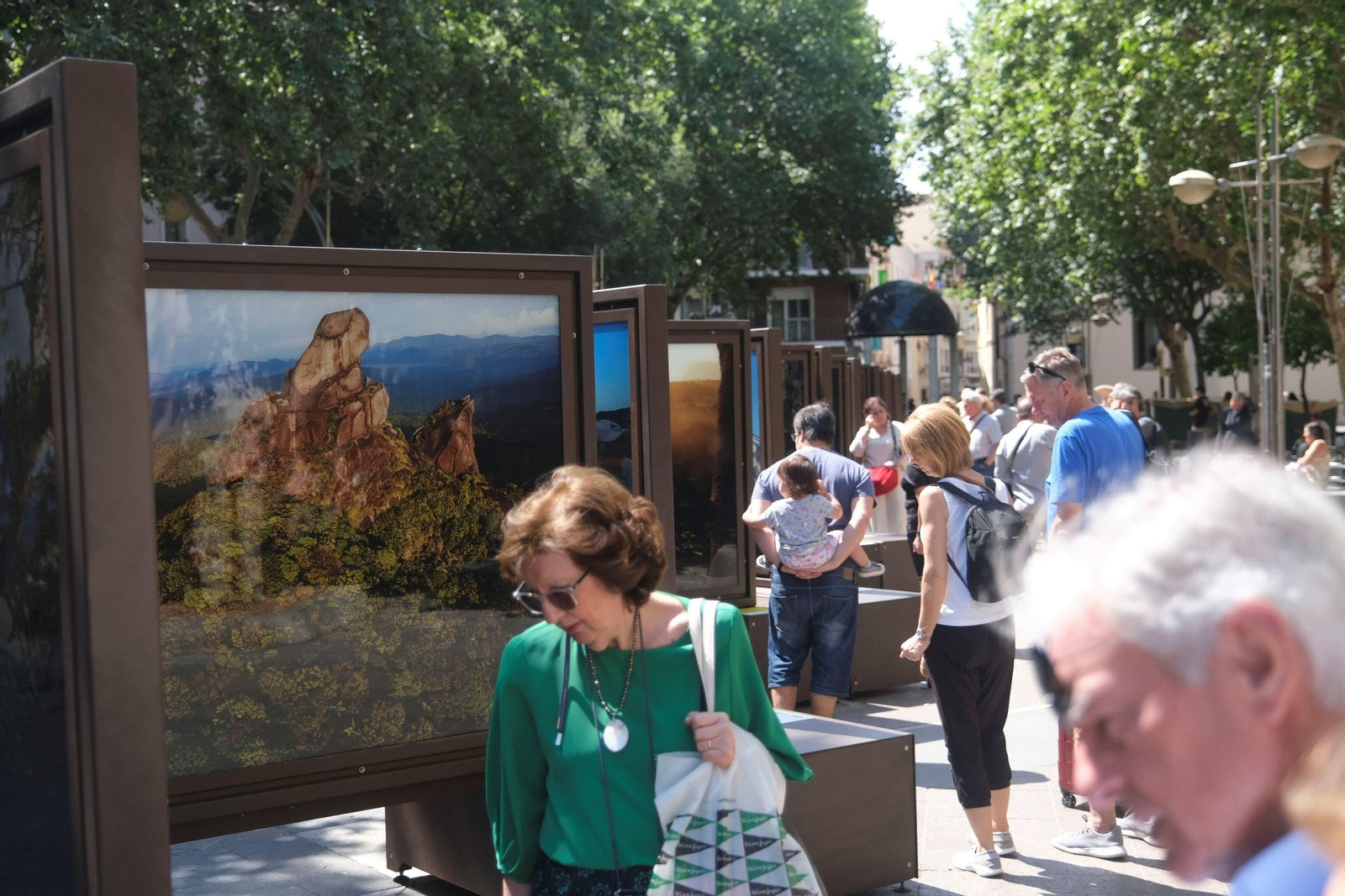 La exposición de 'National Geographic' en el bulevar del Gran Capitán de Córdoba, en imágenes