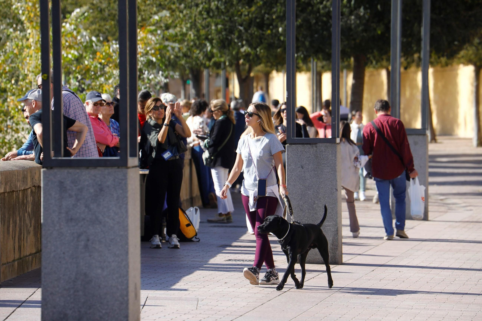 Las imágenes de Córdoba repleta de turistas en el Puente de los Santos