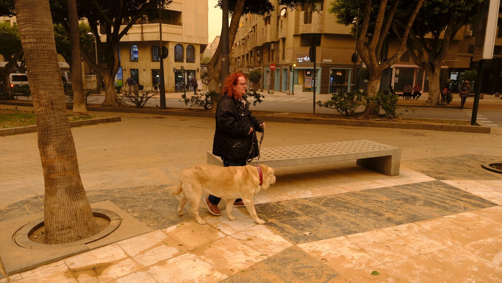 Fotogalería de la tormenta de arena y polvo en Almería
