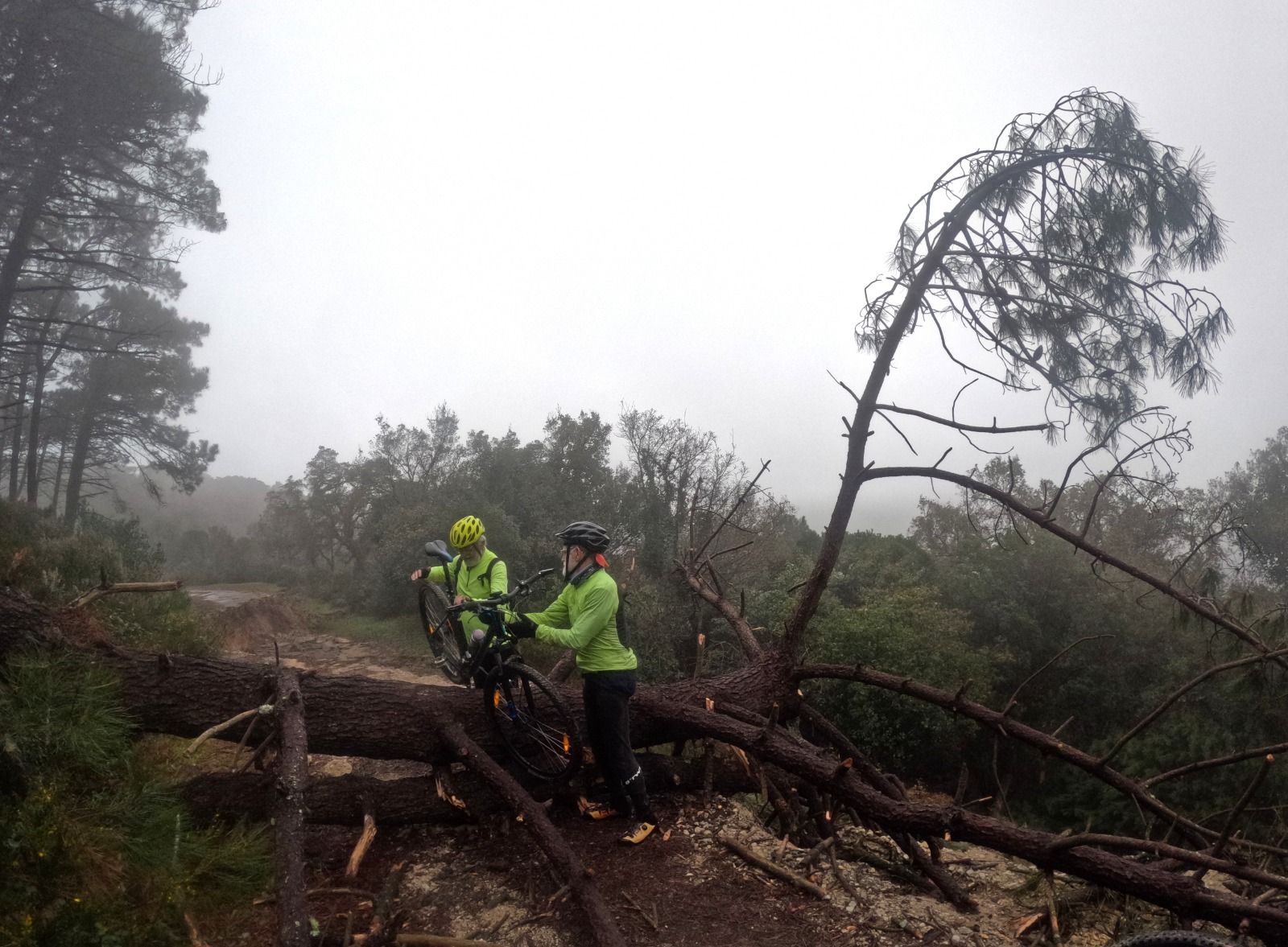 El carril de Las Corzas, destrozado tras los temporales