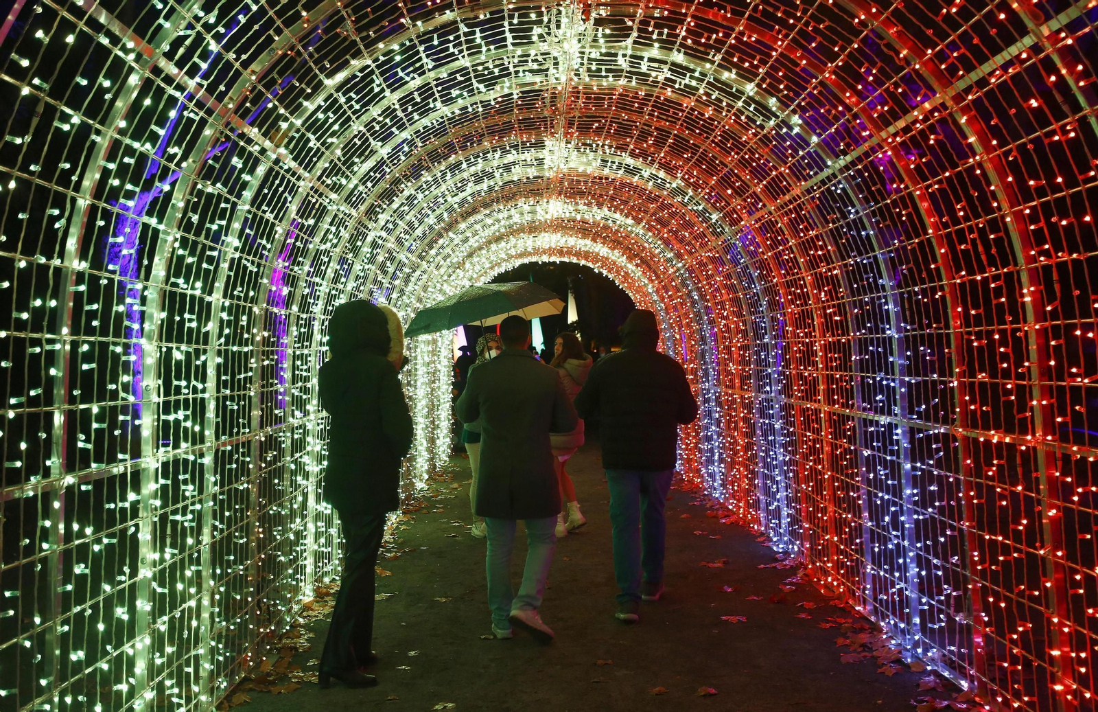 Las luces del Jardín Botánico de Málaga, en fotos