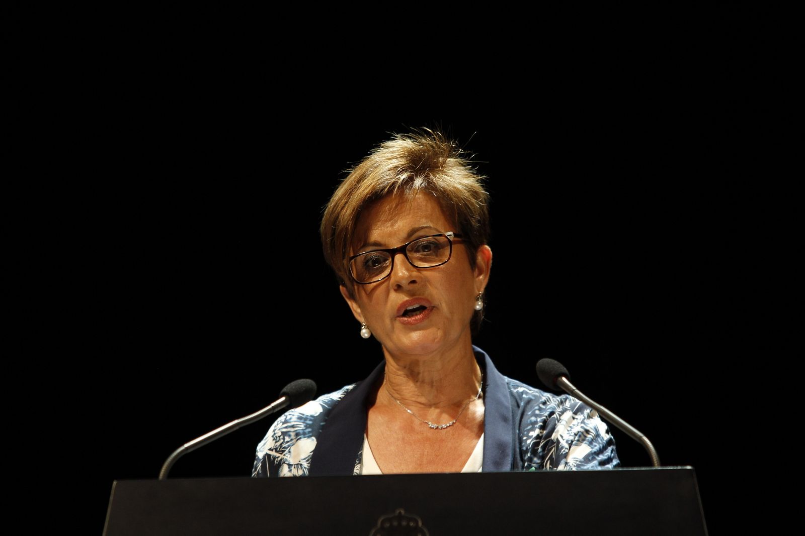 Fotogalería Pleno Constitución Ayuntamiento de Almería