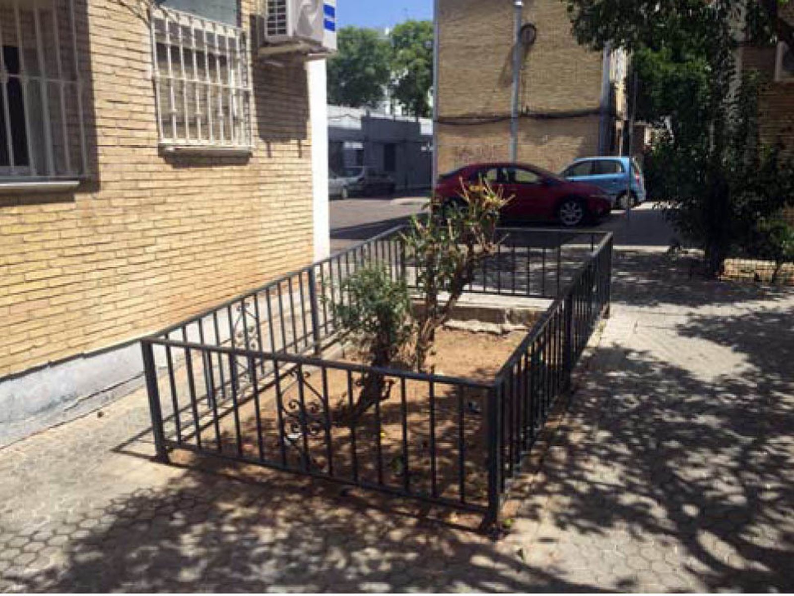 Estado actual de uno de los parterres que se encuentran en los barrios A y B del Polígono San Pablo.