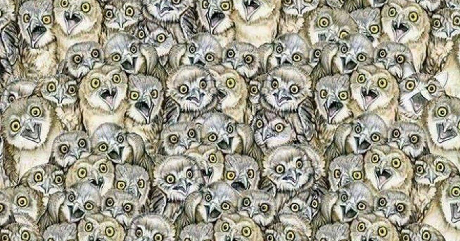 ¿Ves al gato en la imagen? el reto viral que pone a prueba tu agudeza visual