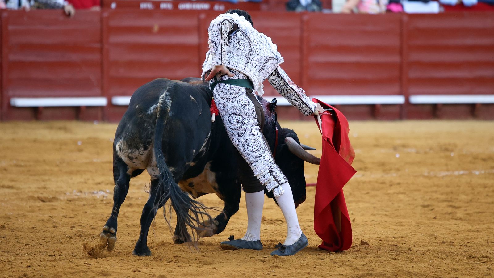 Tercera tarde de toros y última de la Feria de Jerez con Morante, Juan Ortega y Roca Rey
