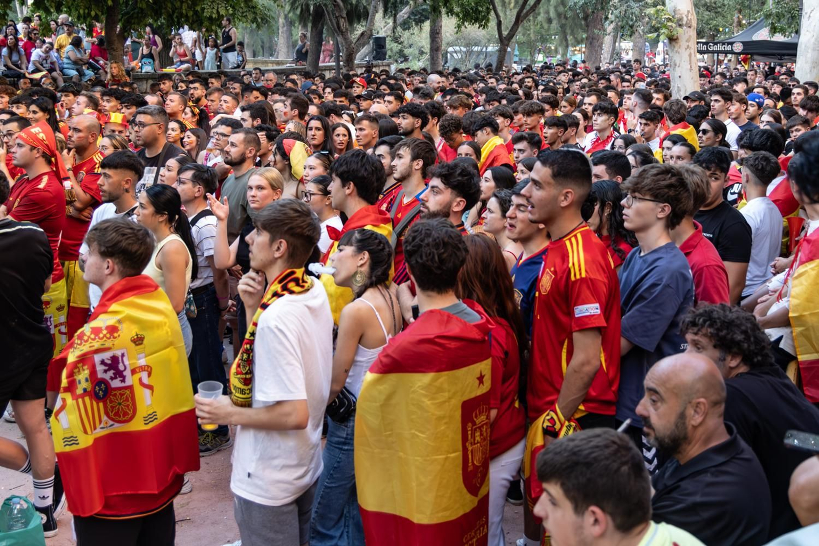 La euforia jiennense por la victoria de España, imágenes