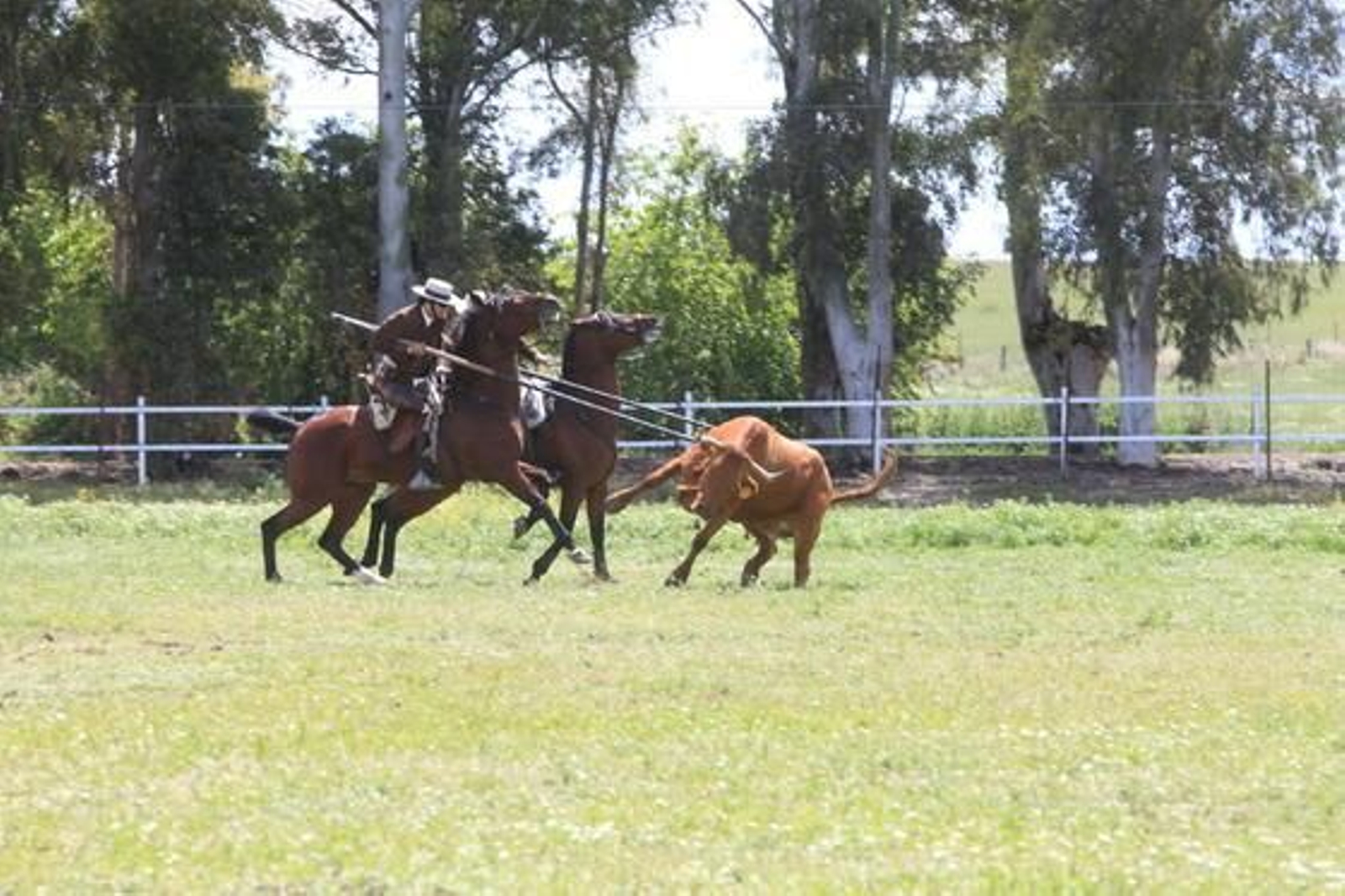 Los jerezanos Tomás y Felipe Morenés se hicieron con un trofeo reñido en un escenario muy recuperado de la lluvia.

Foto: Vanesa Lobo