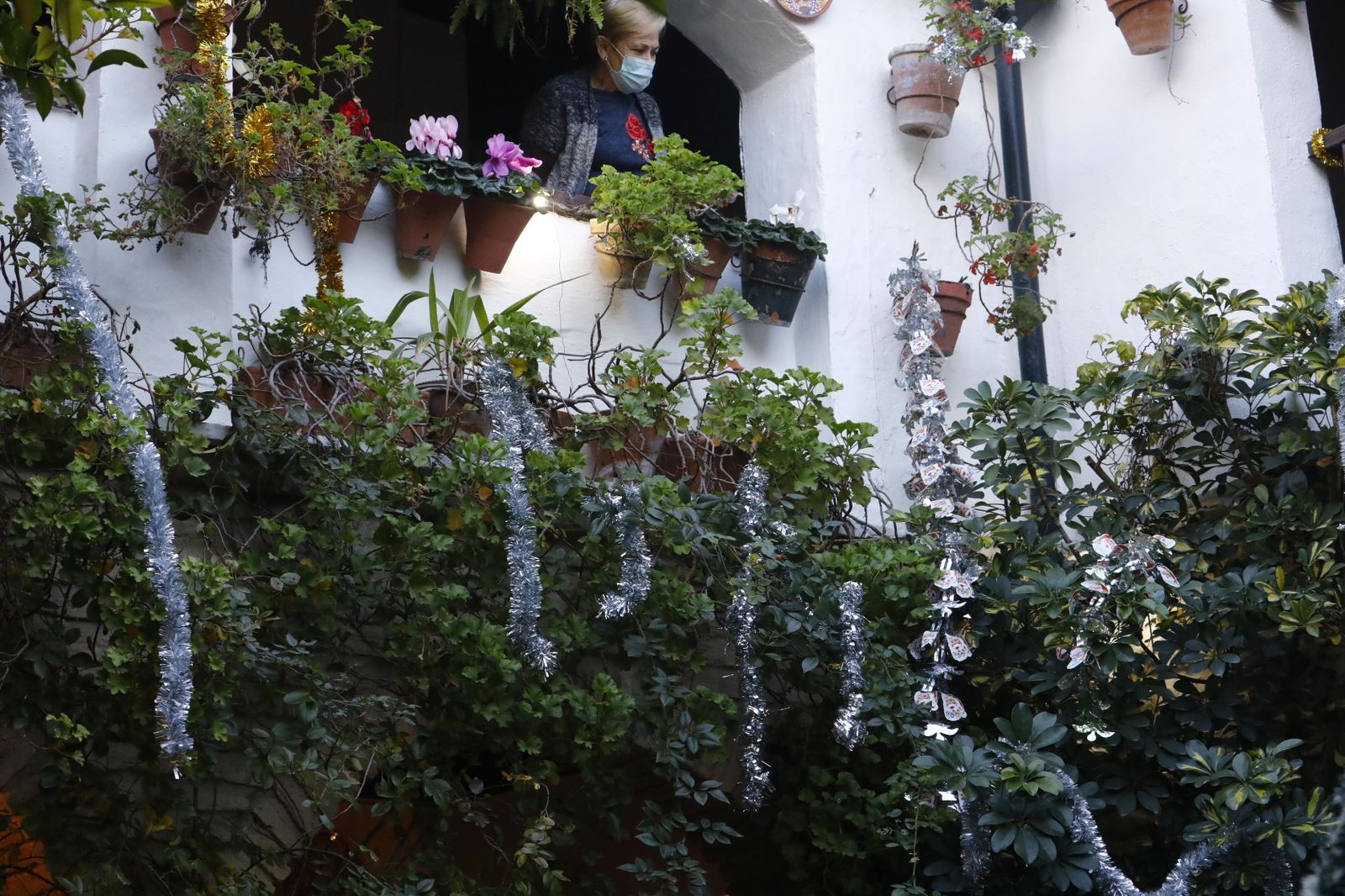 Las fotografías de los Patios de Córdoba en Navidad