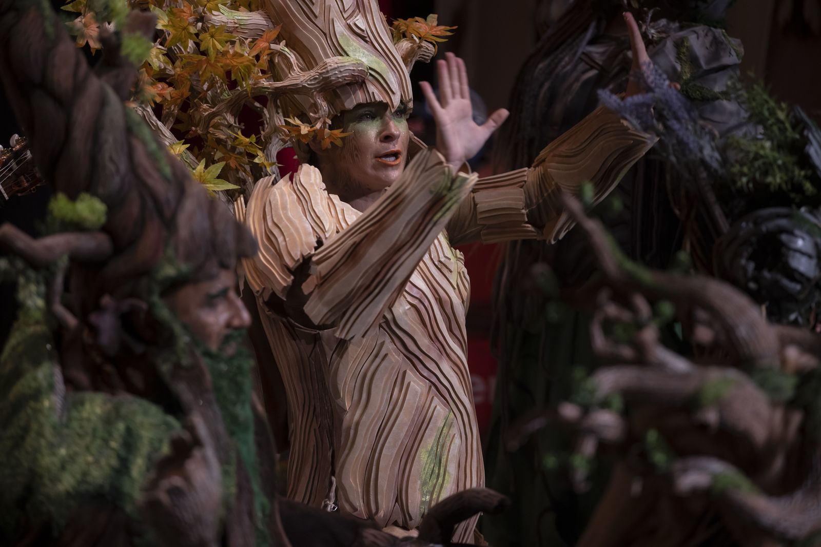 Imágenes de la actuación de la comparsa de Huelva "La vieja verde" en el Carnaval Colombino