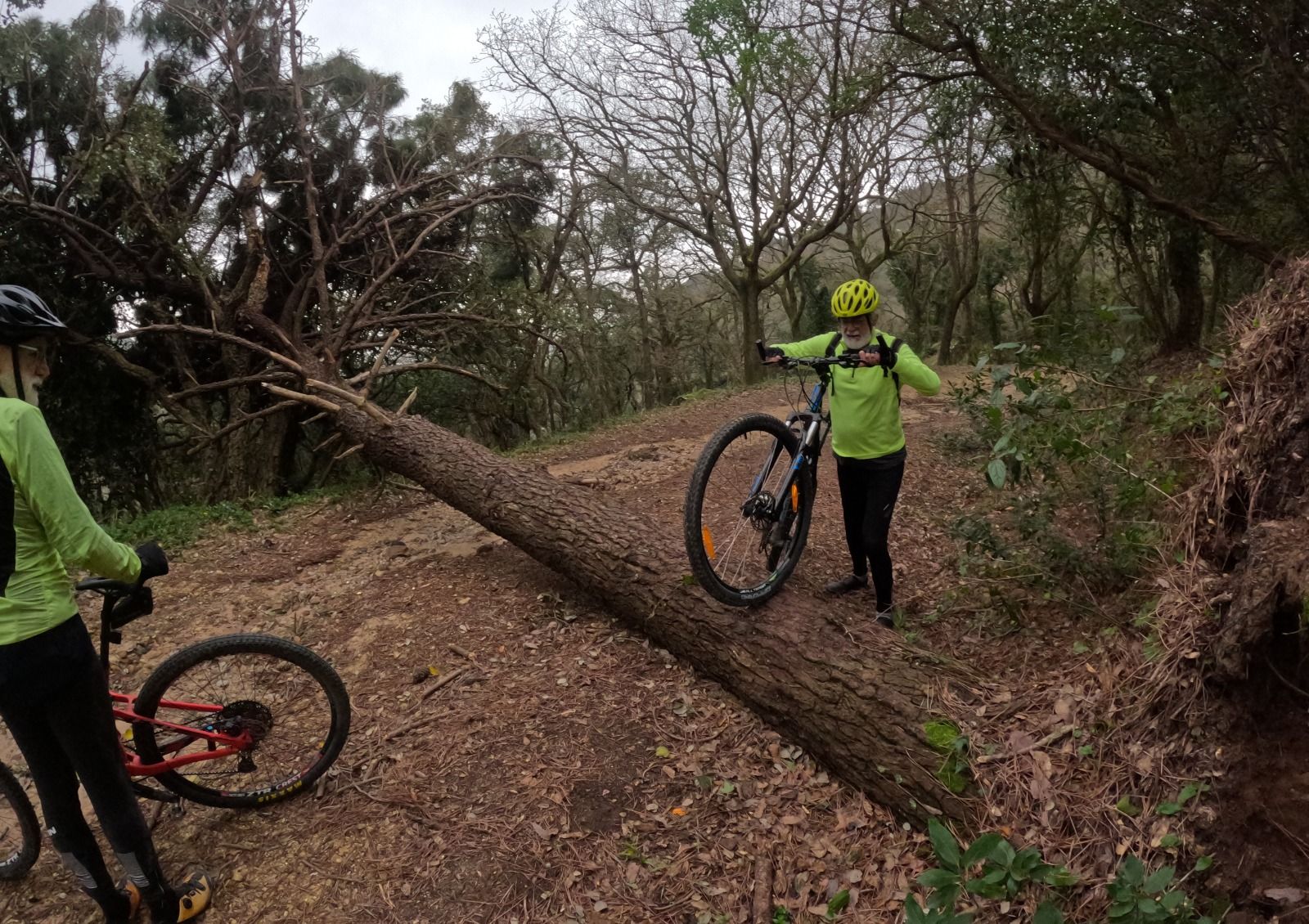 El carril de Las Corzas, destrozado tras los temporales