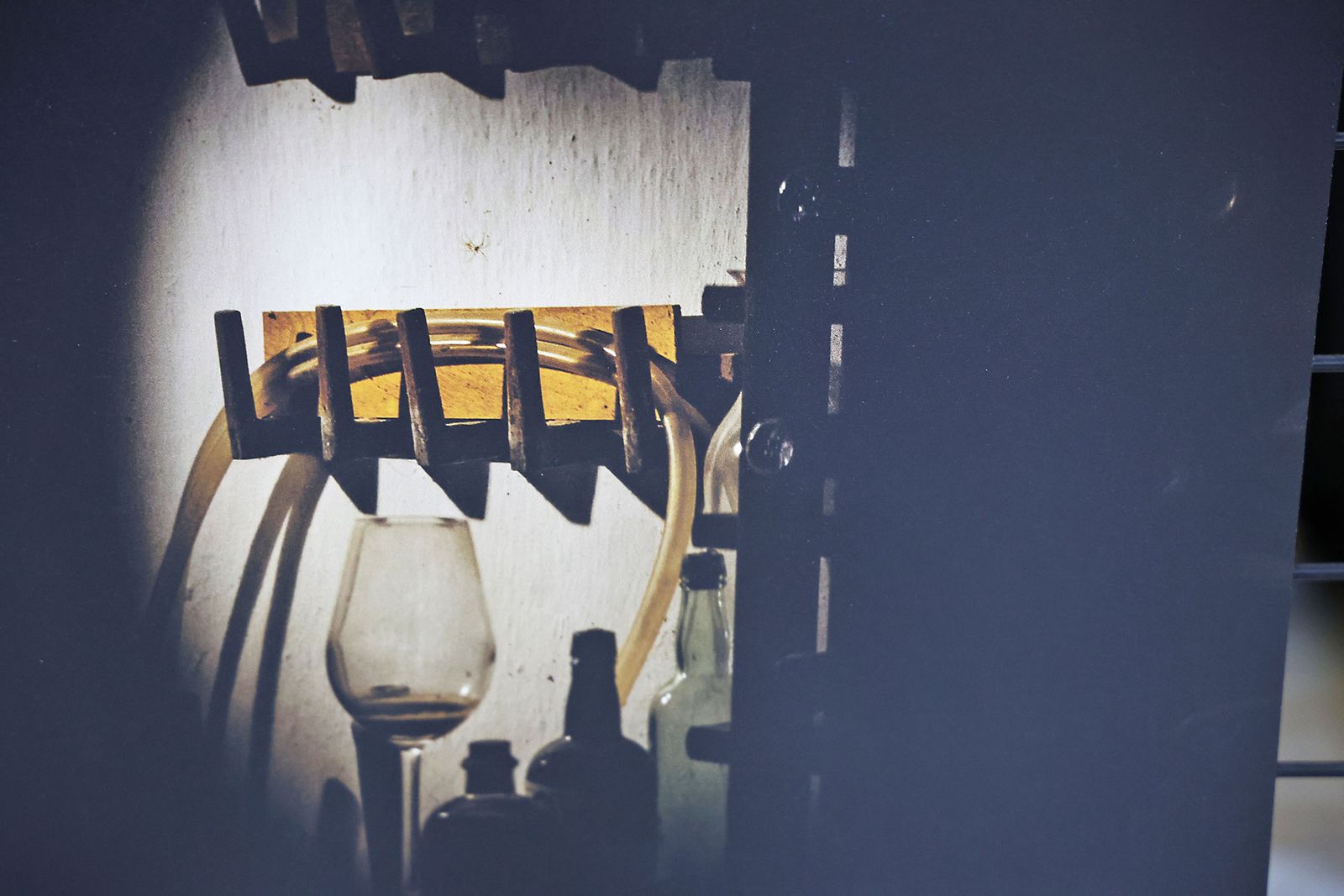 Exposición del I Rally Fotográfico de La Canastita