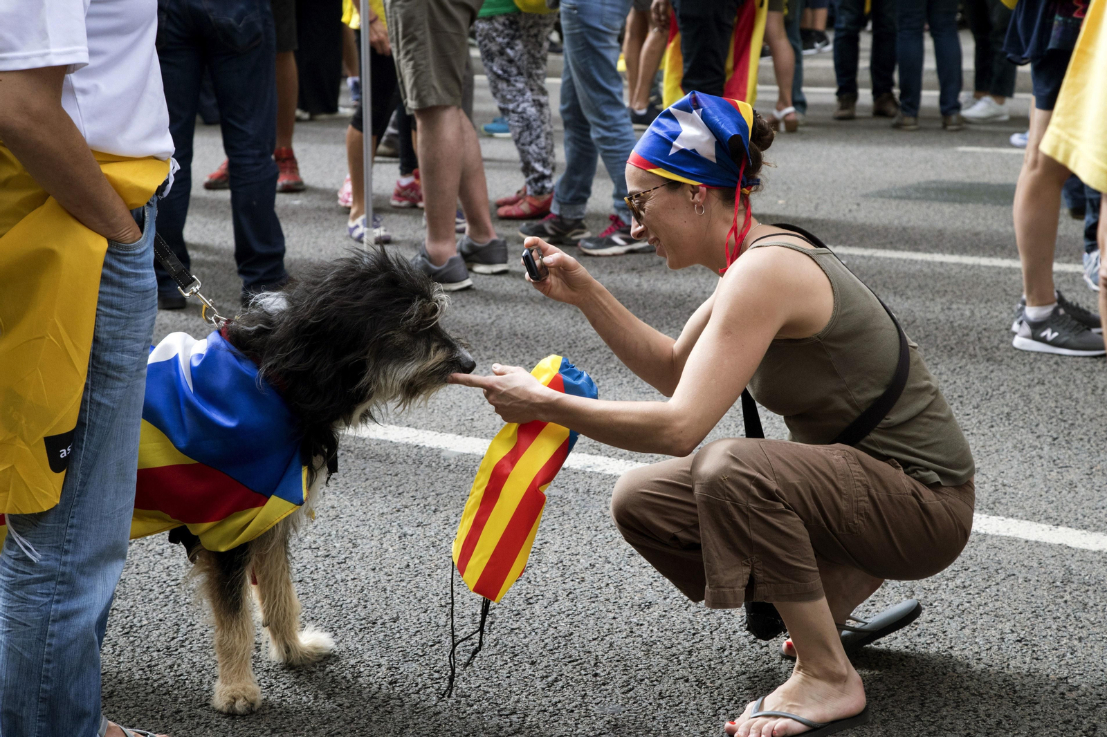 La manifestación independentista de la Diada, en imágenes