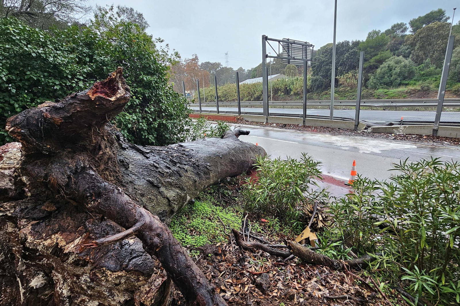 Las fotos de los efectos de la borrasca Emilia en el Campo de Gibraltar