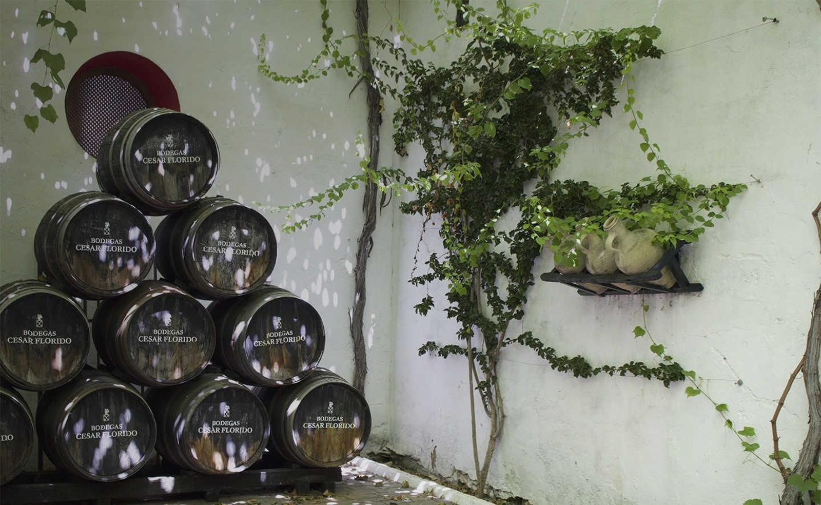 Bodega Cesar Florido