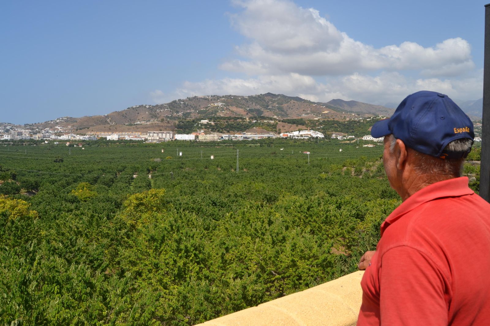 Finca de subtropicales.