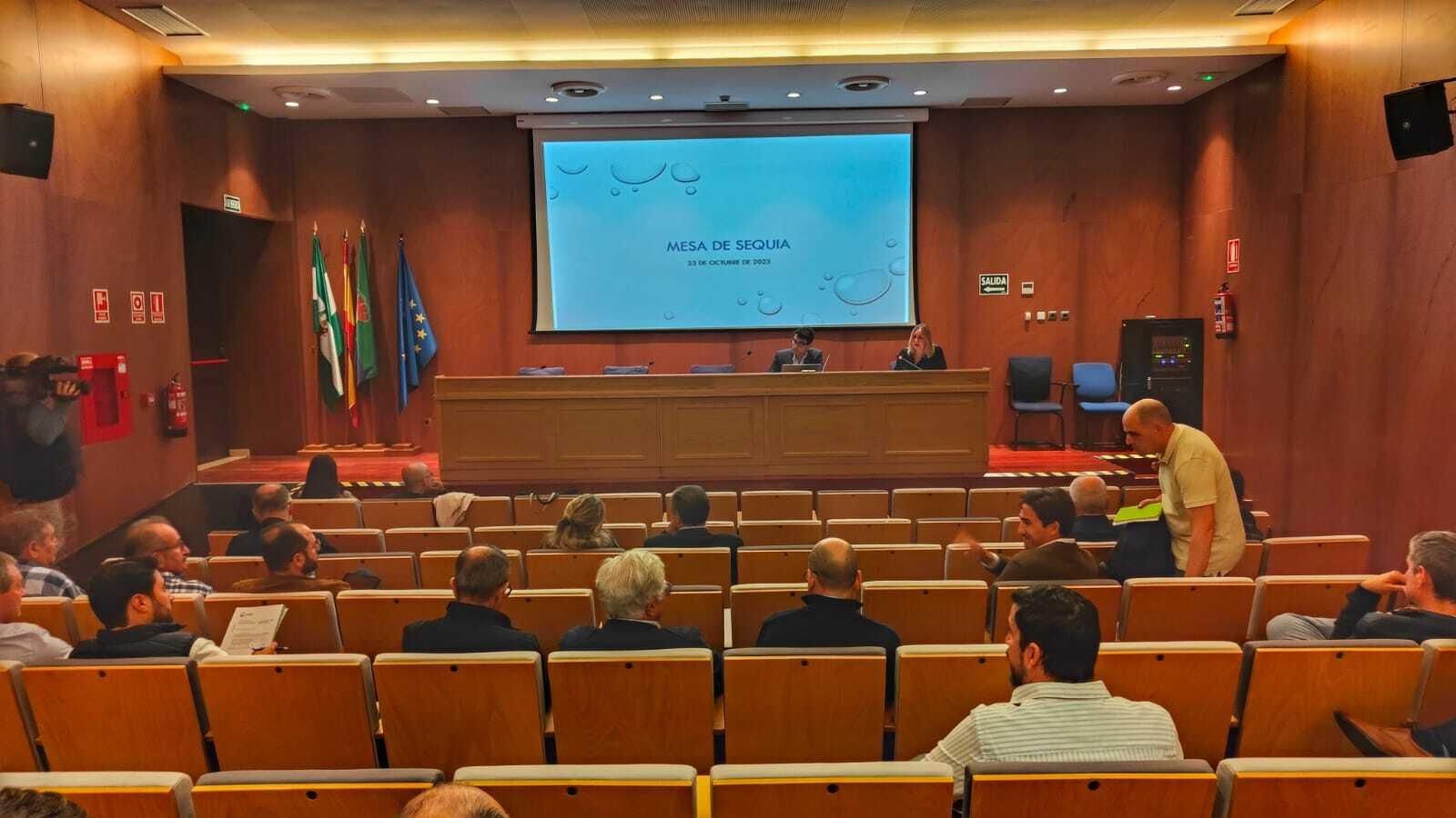 La mesa de la sequía del Campo de Gibraltar, reunida este martes en la sede de Arcgisa.
