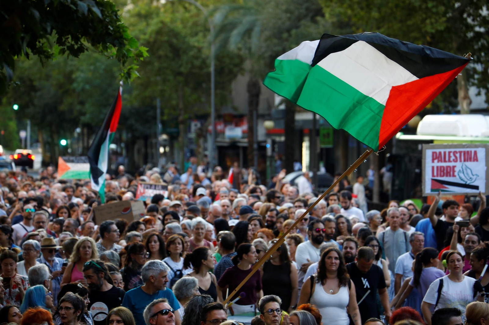 Las imágenes de la manifestación de Córdoba por Gaza