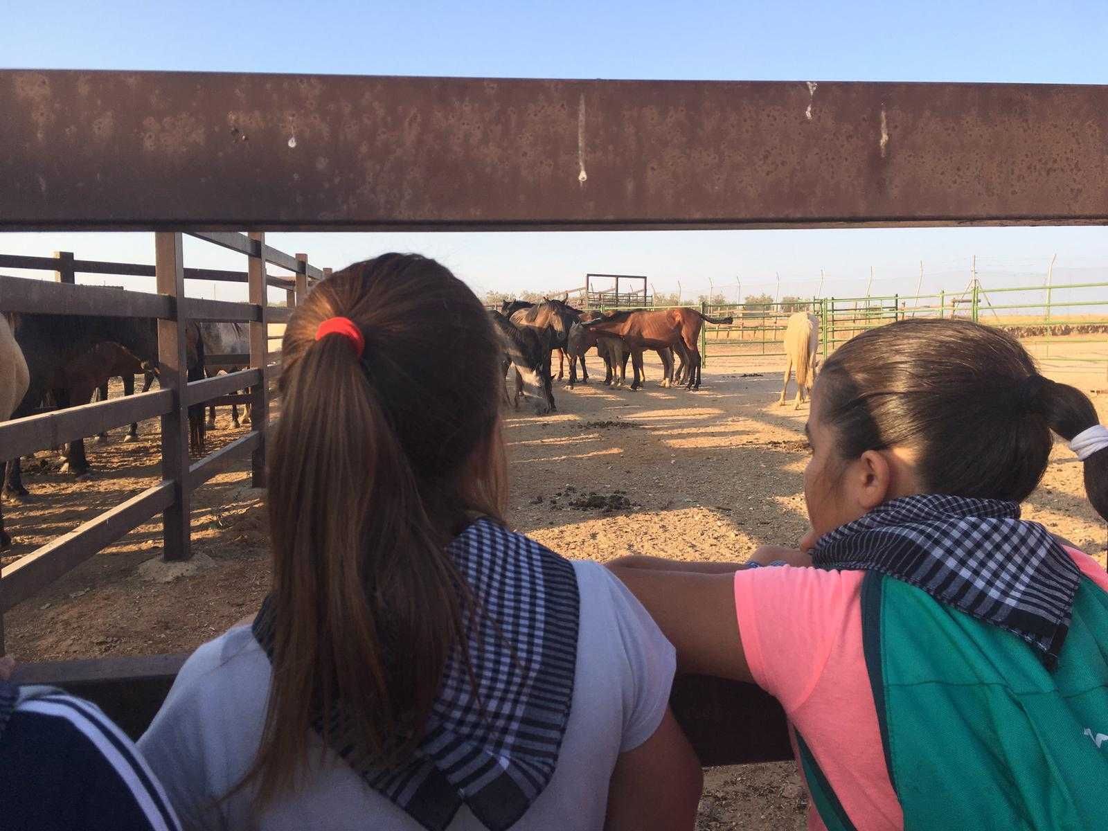 Dos estudiantes visitan la zona de ganado.