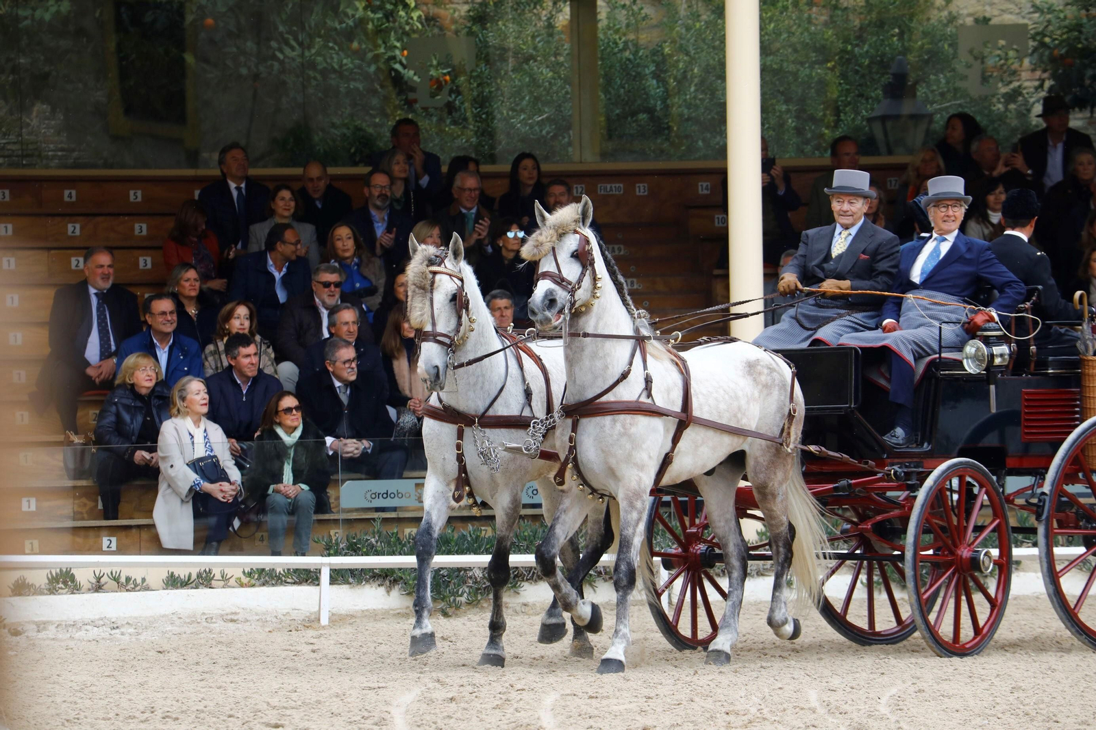 La exhibición de enganches en Caballerizas Reales de Córdoba, en imágenes