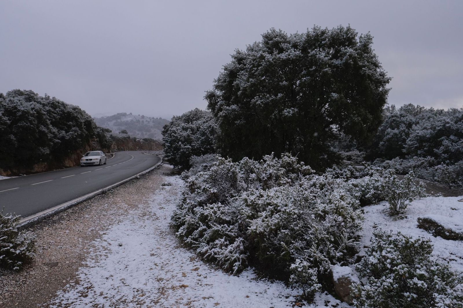 Nevada en la Serranía de Ronda este pasado sábado.