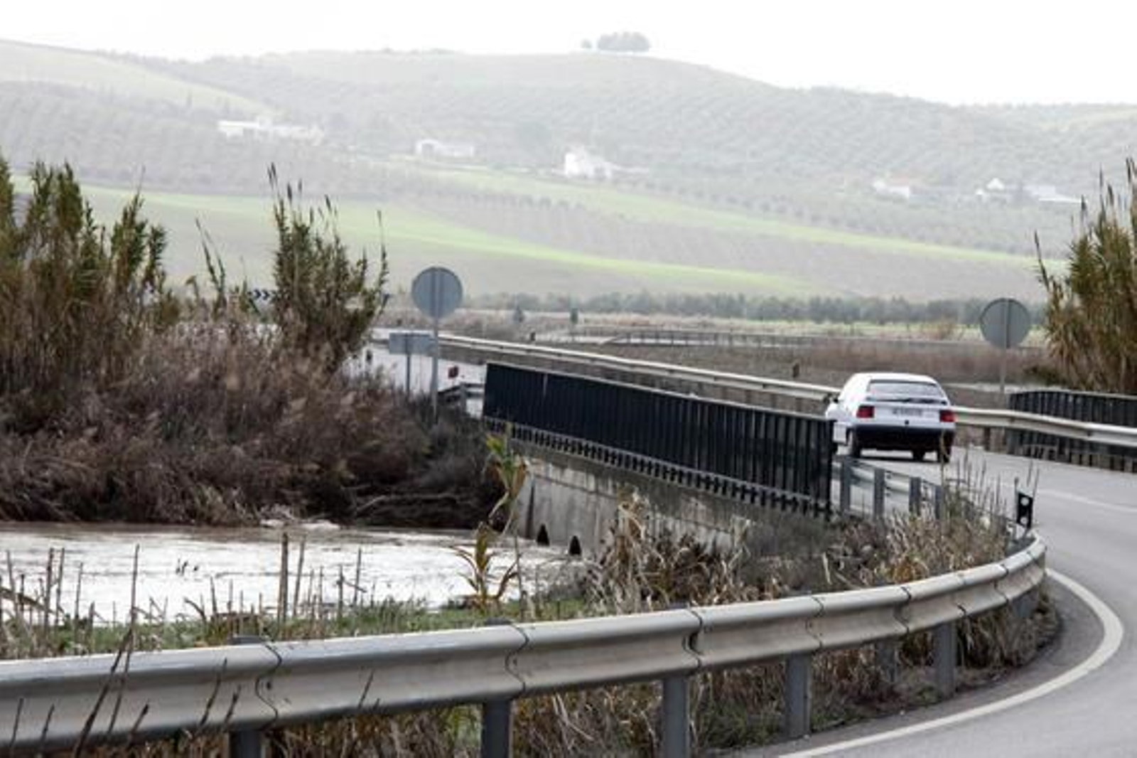 Inundaciones en numerosas fincas de Arroyo Salado.

Foto: Rafael Salido