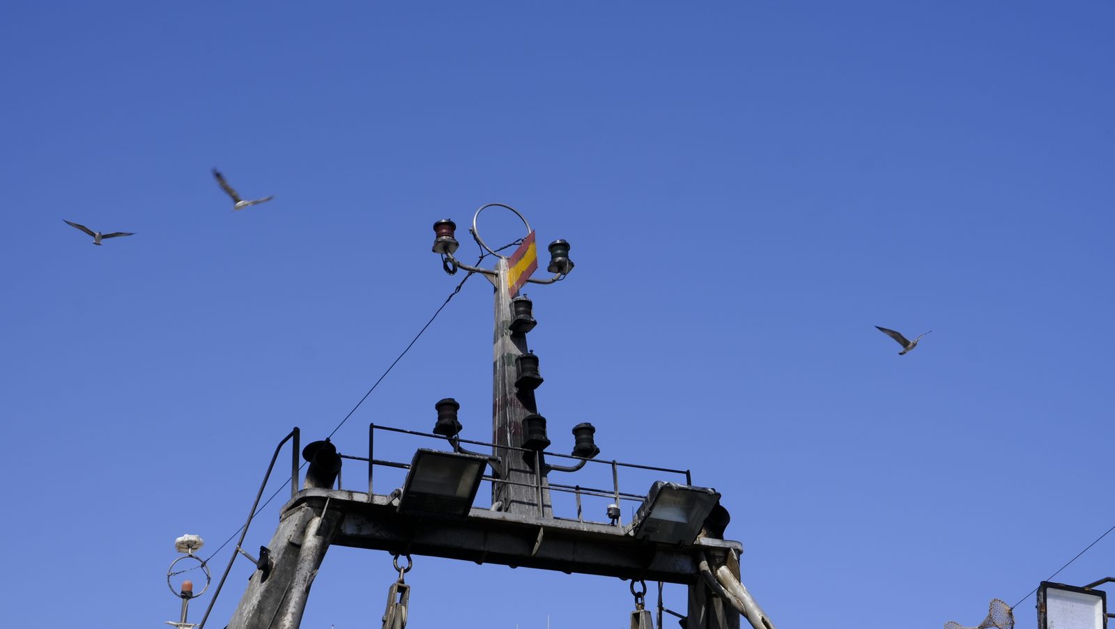 Imágenes de la visita guiada a la Lonja del Puerto Pesquero de Almería