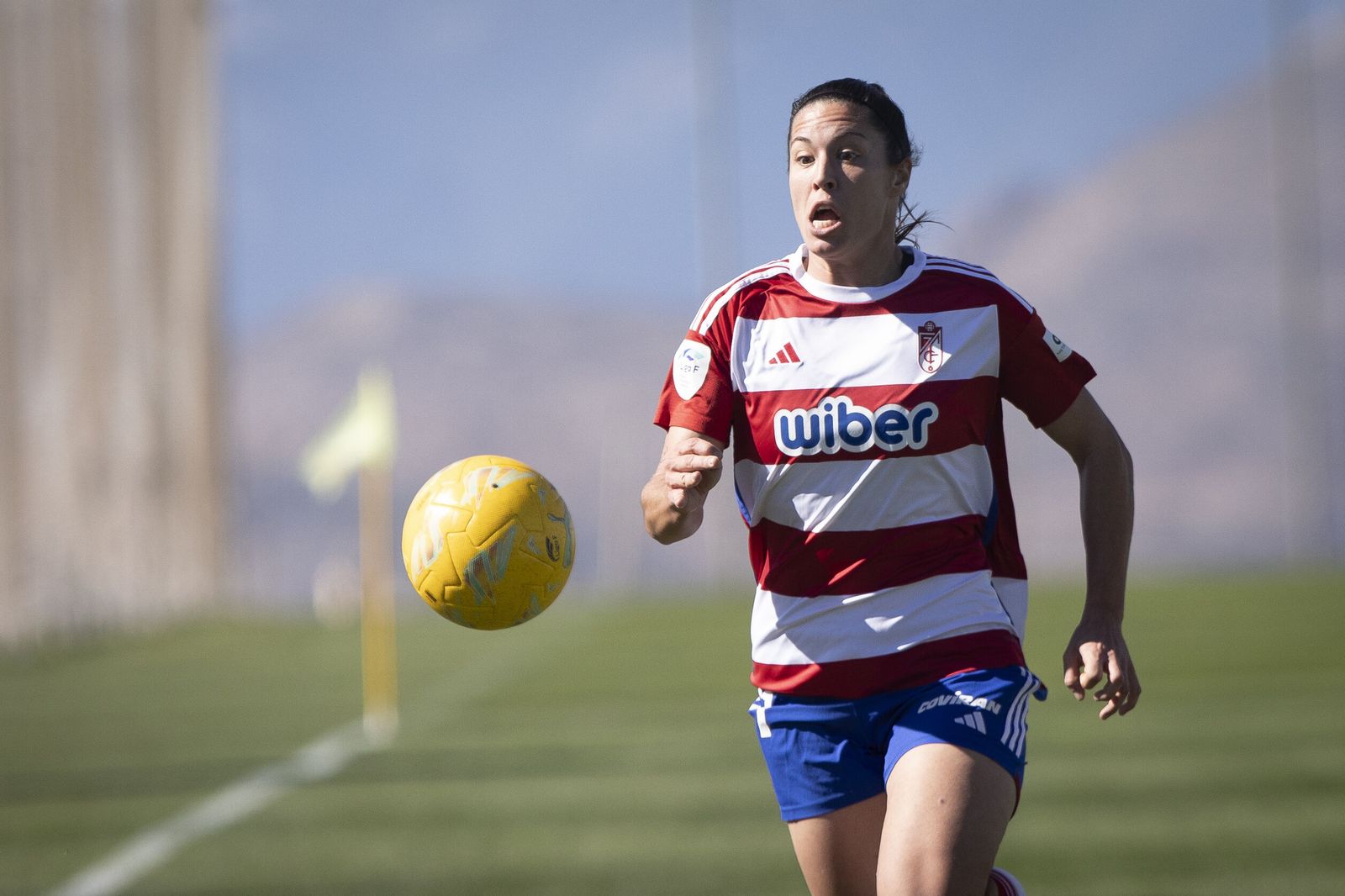 Las imágenes del Granada CF - Sevilla FC