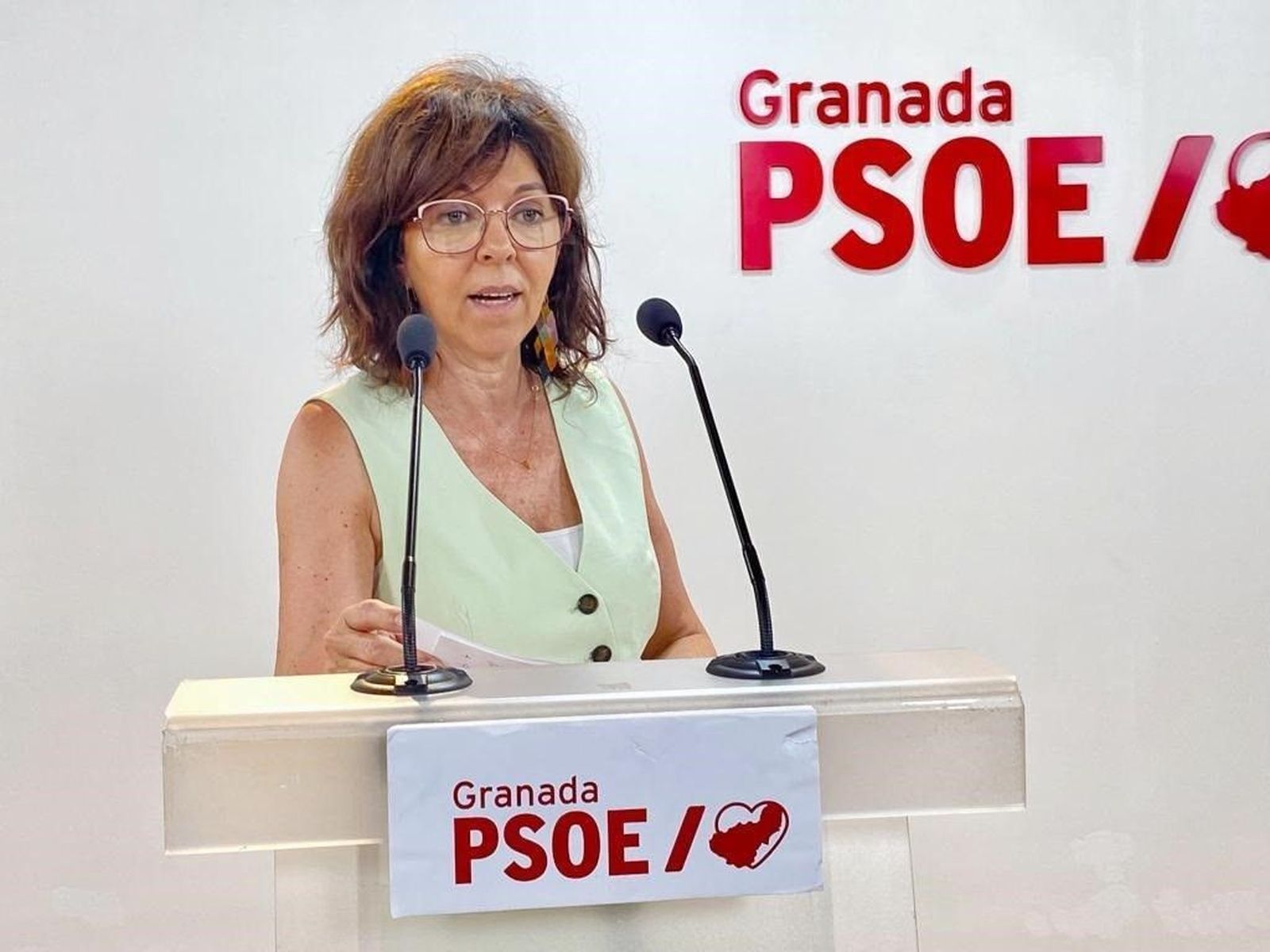 La parlamentaria socialista María Ángeles Prieto