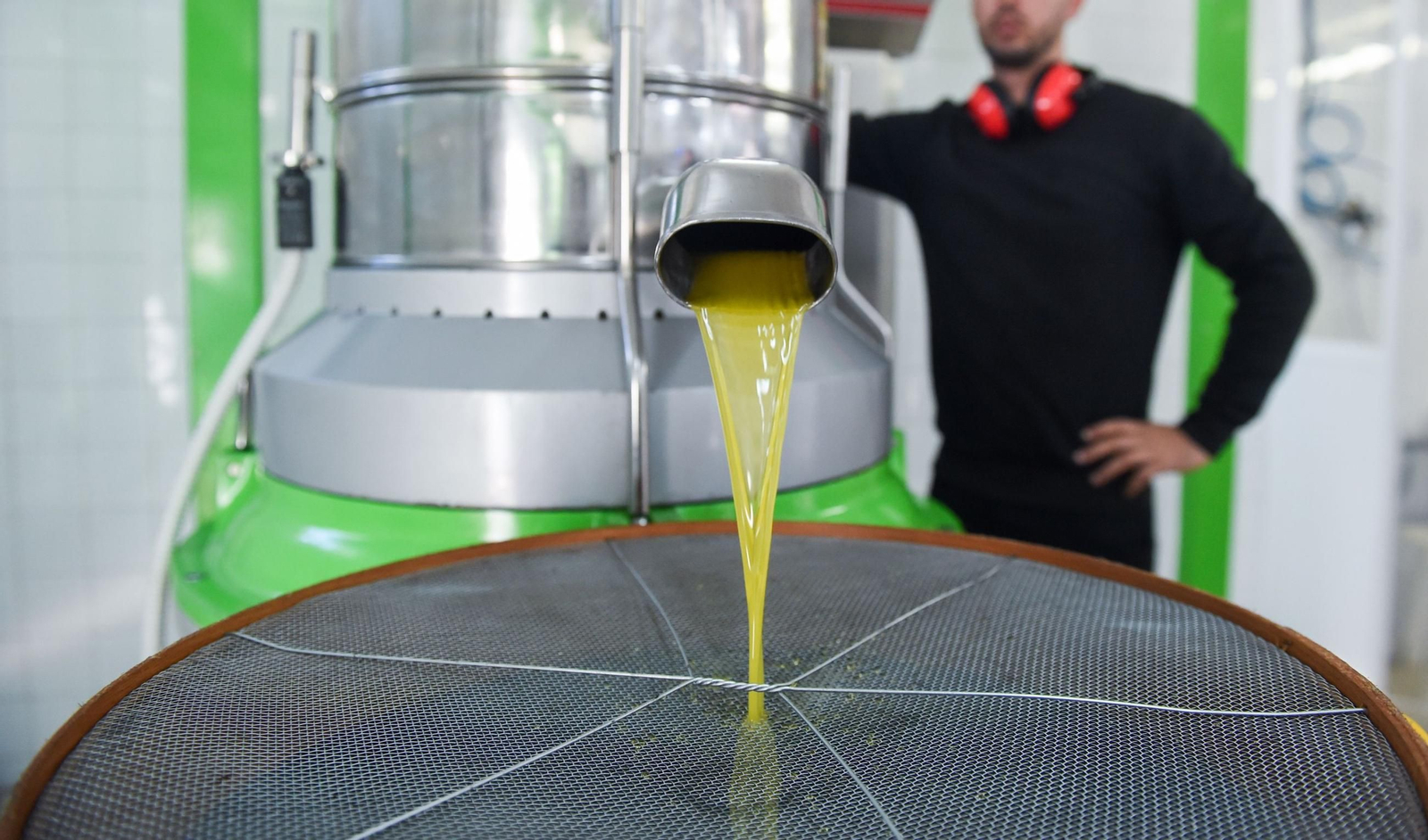 Filtrado de aceite de oliva.