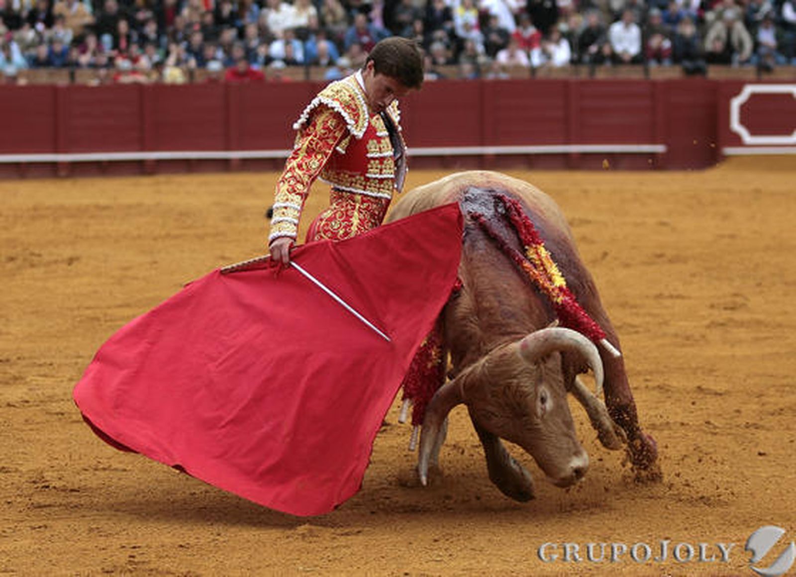 Lama de Góngora.  Foto: Juan Carlos Mu?