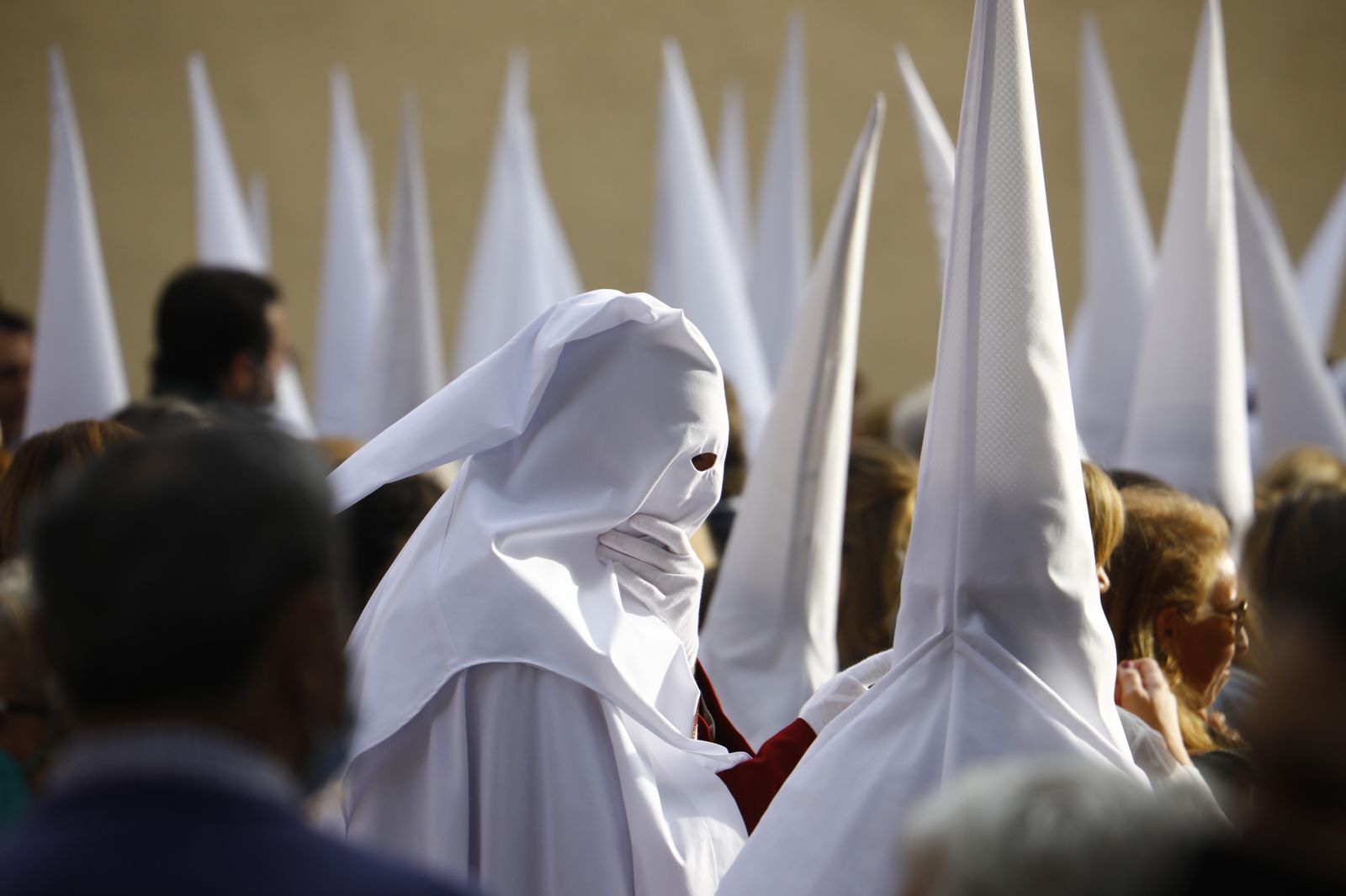 Las imágenes de la impotencia: la suspensión de la Sentencia de Córdoba