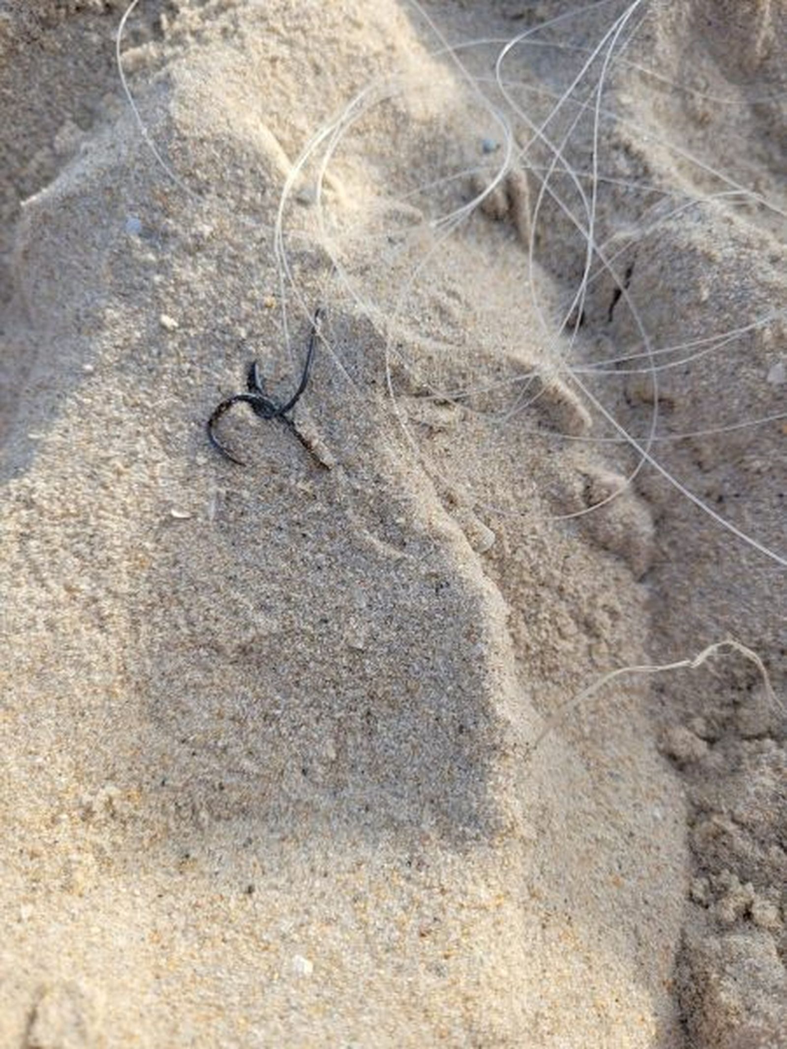 Los anzuelos pueden causar mucho daño a niños y mascotas