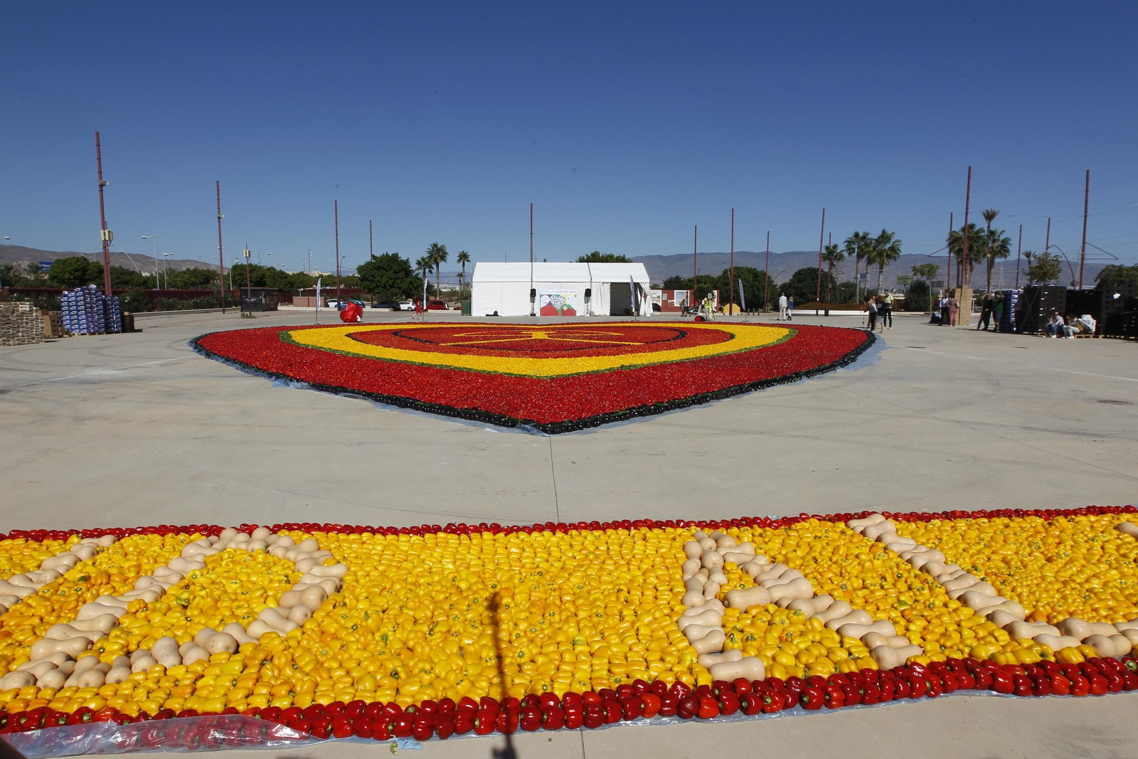 Fotogalería Récord Guinness Corazón Hortalizas Almería