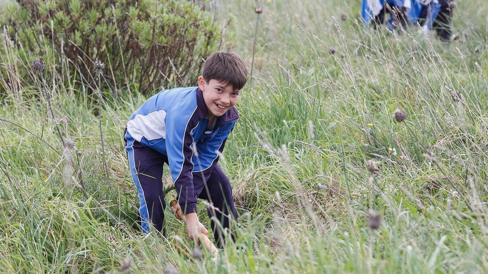 Fotografías de la plantación del programa 'Reverdece' de Acerinox Fotografías de la plantación del programa 'Reverdece' de Acerinox