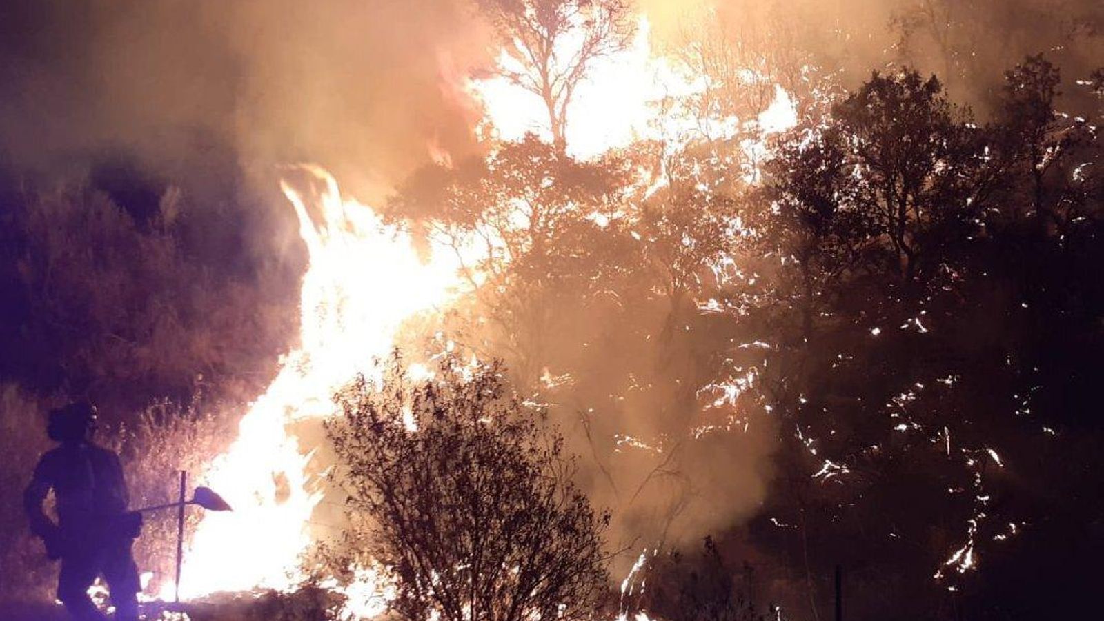 Un efectivo del Plan Infoca actúa en el incendio de Villaharta. Un efectivo del Plan Infoca actúa en el incendio de Villaharta.