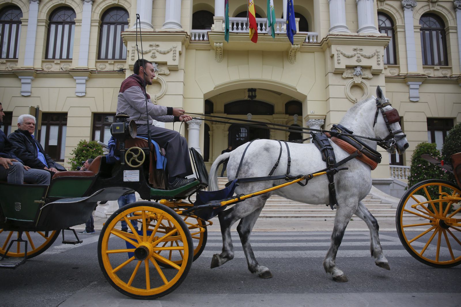 Un coche de caballos pasa frente a la Casona del Parque.