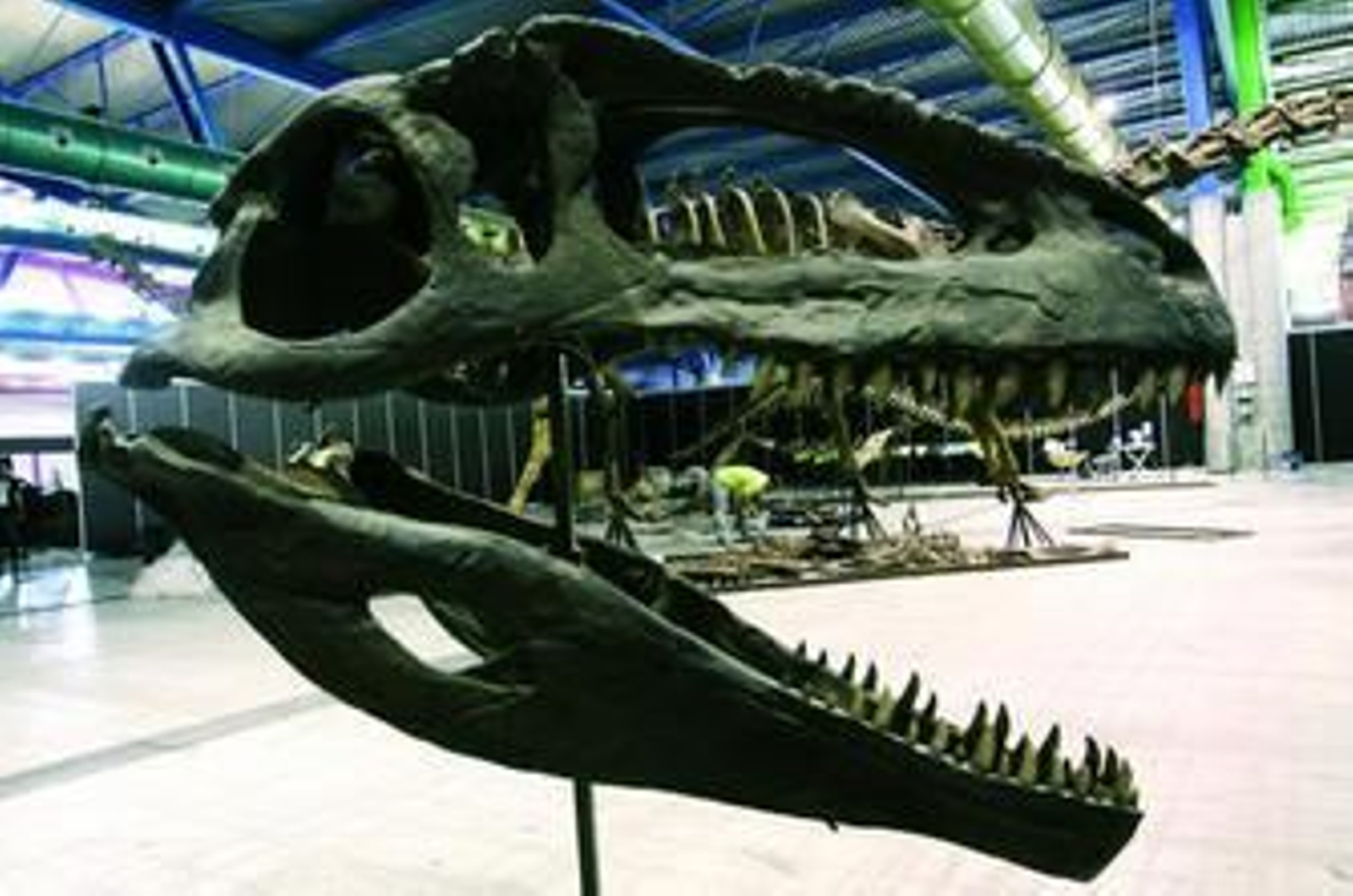 La aventura jurásica